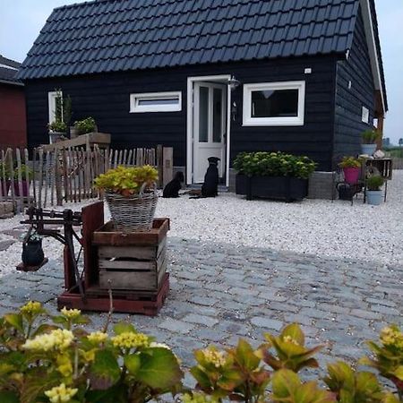 Wellness Chalet Met Jacuzzi, Sauna, Omheinde Tuin, Sint Annaland Exterior foto