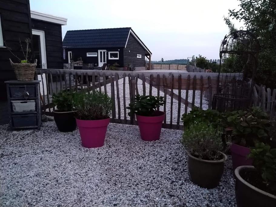 Wellness Chalet Met Jacuzzi, Sauna, Omheinde Tuin, Sint Annaland Exterior foto